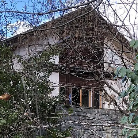 Gemuetliche Mit Garten Biasca